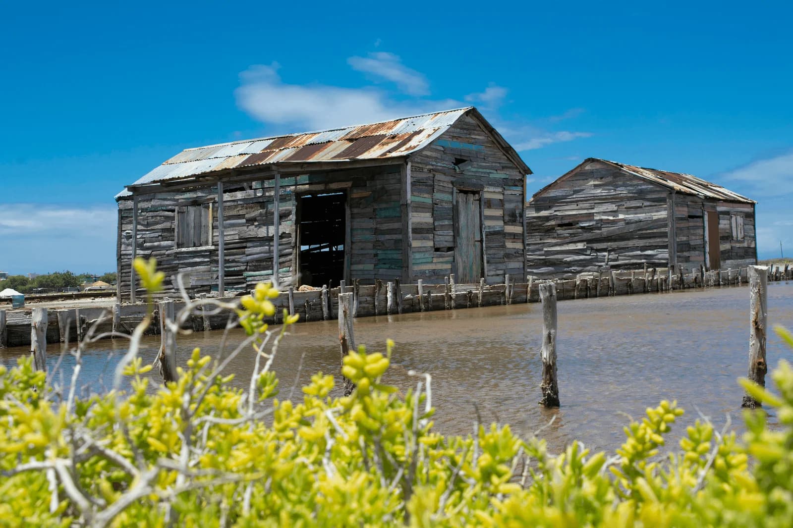 The Most Common Mistake Owners Make With Aged Shore Homes