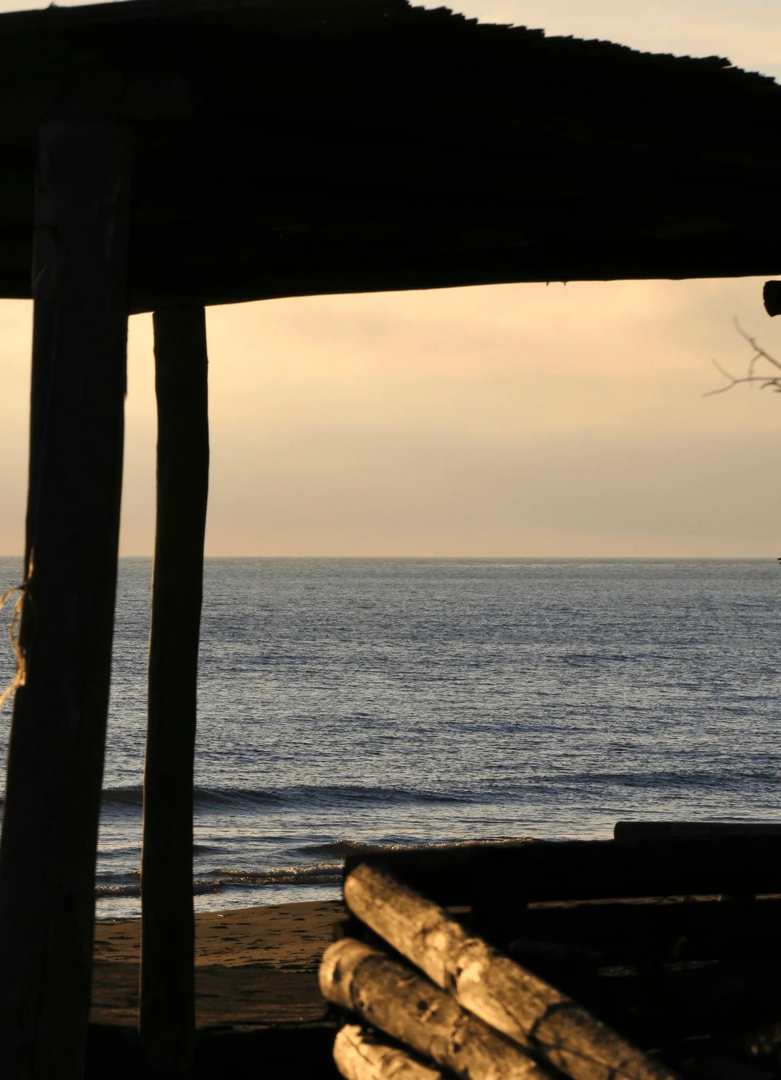Kitchen Design Decisions That Actually Affect Resale at the Jersey Shore